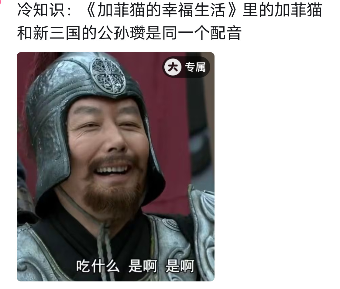 加菲猫，字伯圭，辽西令支人 怪不得扭三公孙瓒长这样，越看越像加菲猫