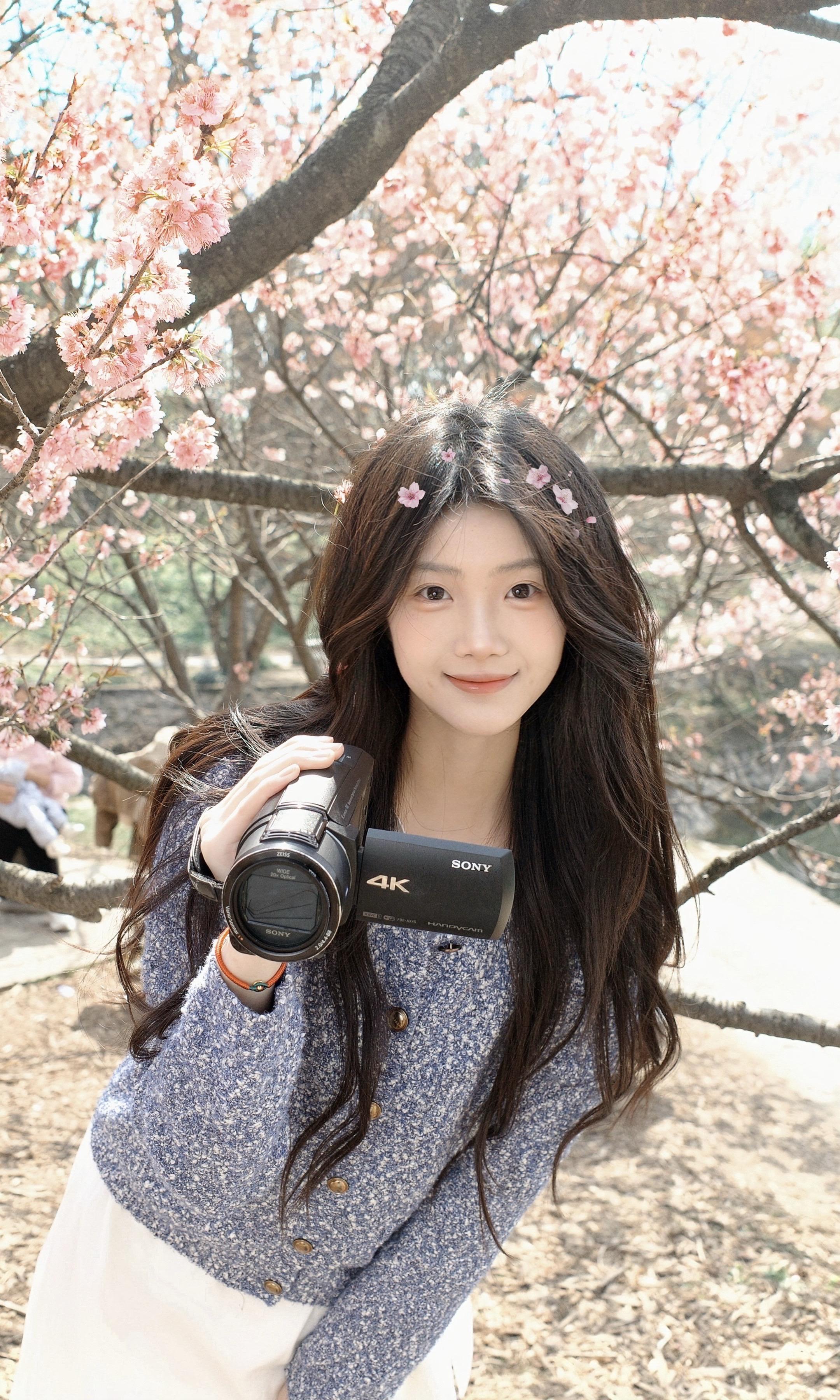 𝚂𝚊𝚔𝚞𝚛𝚊 * ❀🌸。