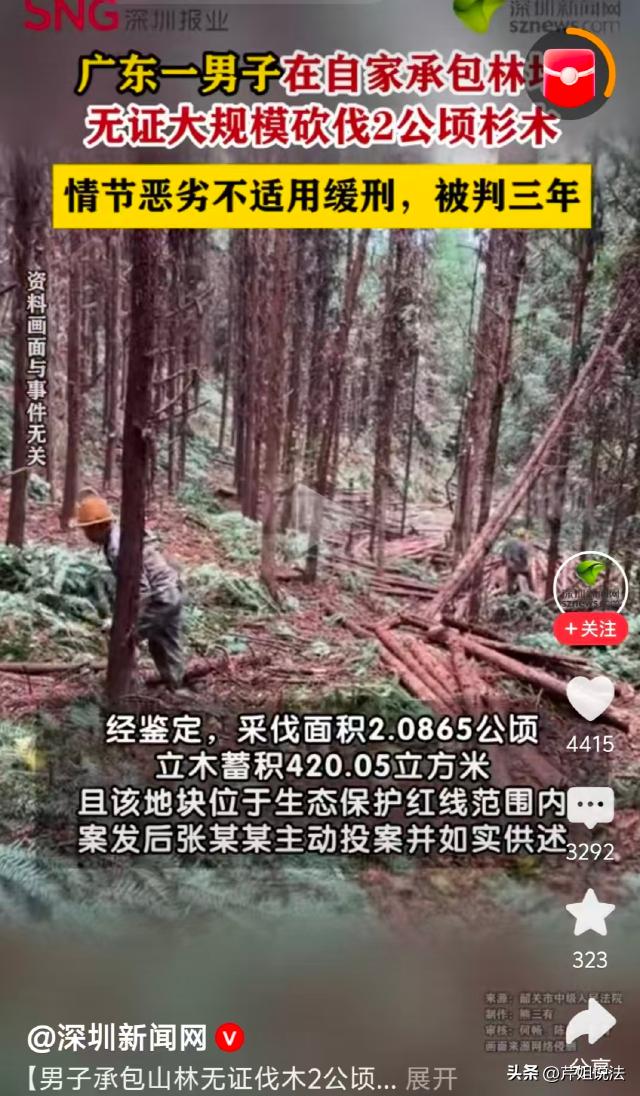 广东韶关，一男子误以为“承包”就能“随意砍伐”，计划搞林地生意，伐木卖钱，连采伐