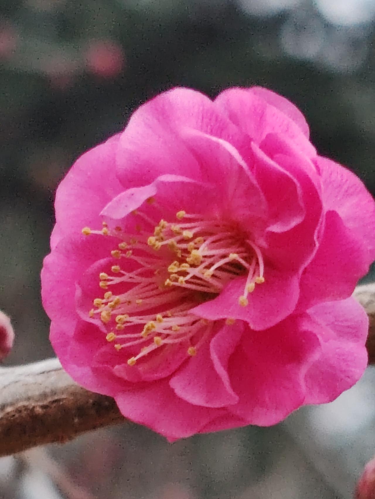 人这一生，不过是要护住父母赐予的性命，守护父母的命，保全孩子的命。保命，便是人生