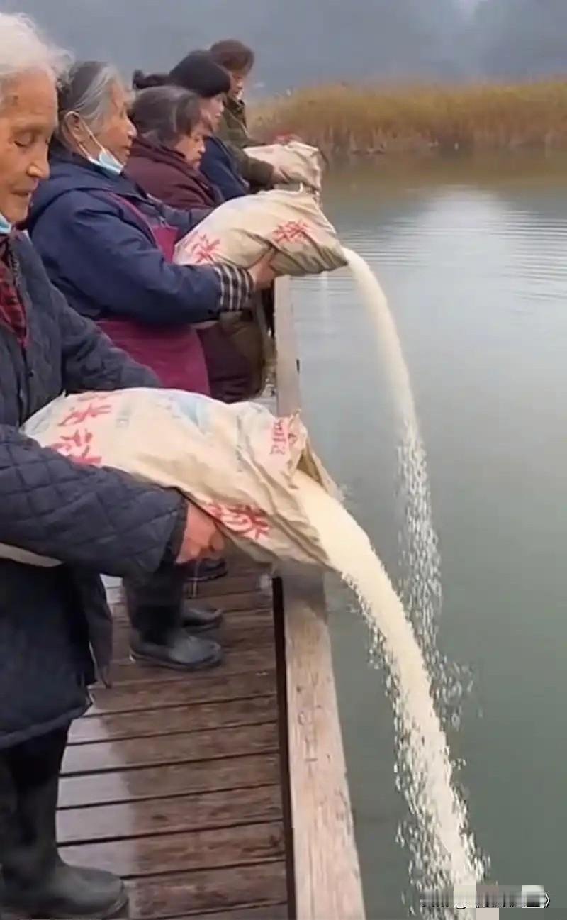离大谱！“放生”大米，这操作该叫停！

最近听到个超奇葩的事儿，有人居然搞起了“