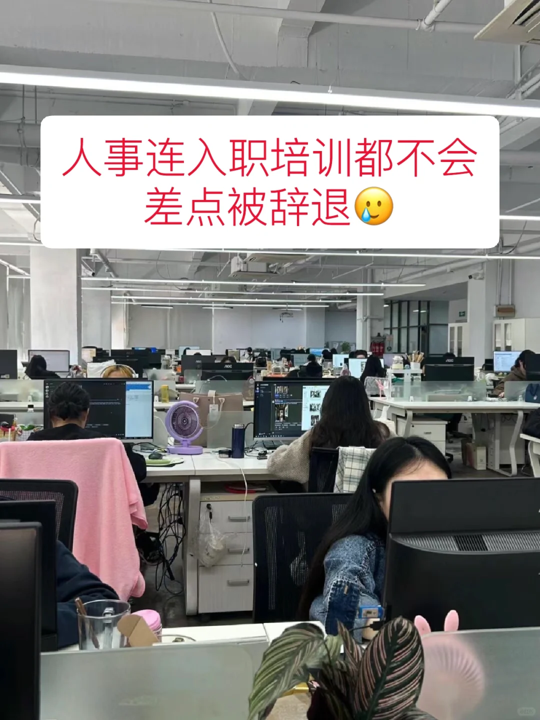 公司人事连入职培训都不会，差点被辞退😨