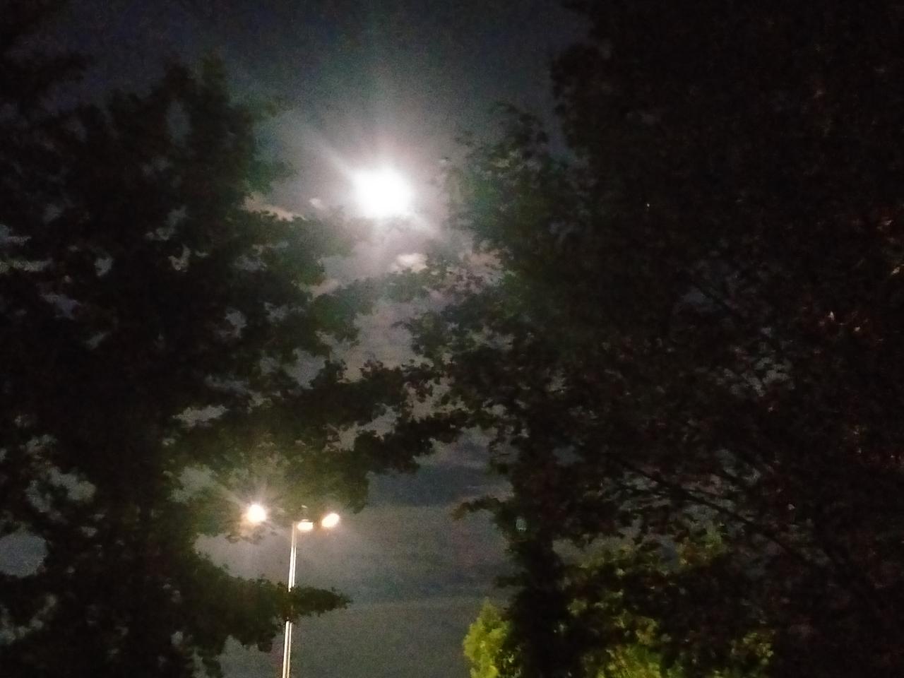 特写镜头。