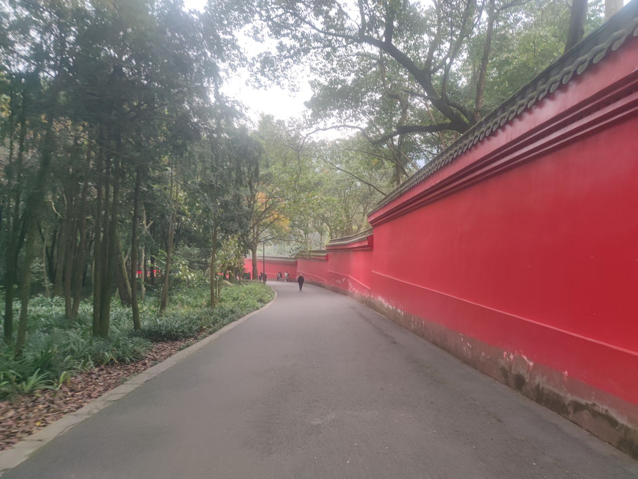 杨总前来开会并赋诗一首：林水文旅融，又见峨眉峰，盛年不重来，浮沉笑谈中！