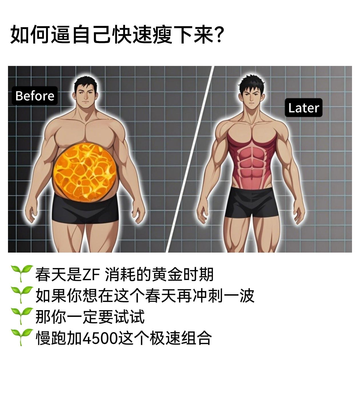 拿出你的勇气，自律起来，你不比任何人差