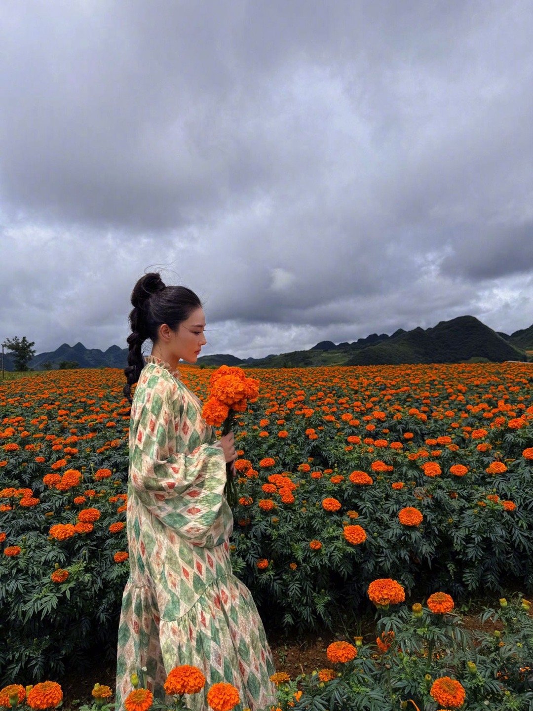 张馨予云南花海里画花 张馨予在云南红河万寿菊花海画画的转场视频太绝了！人景合一，
