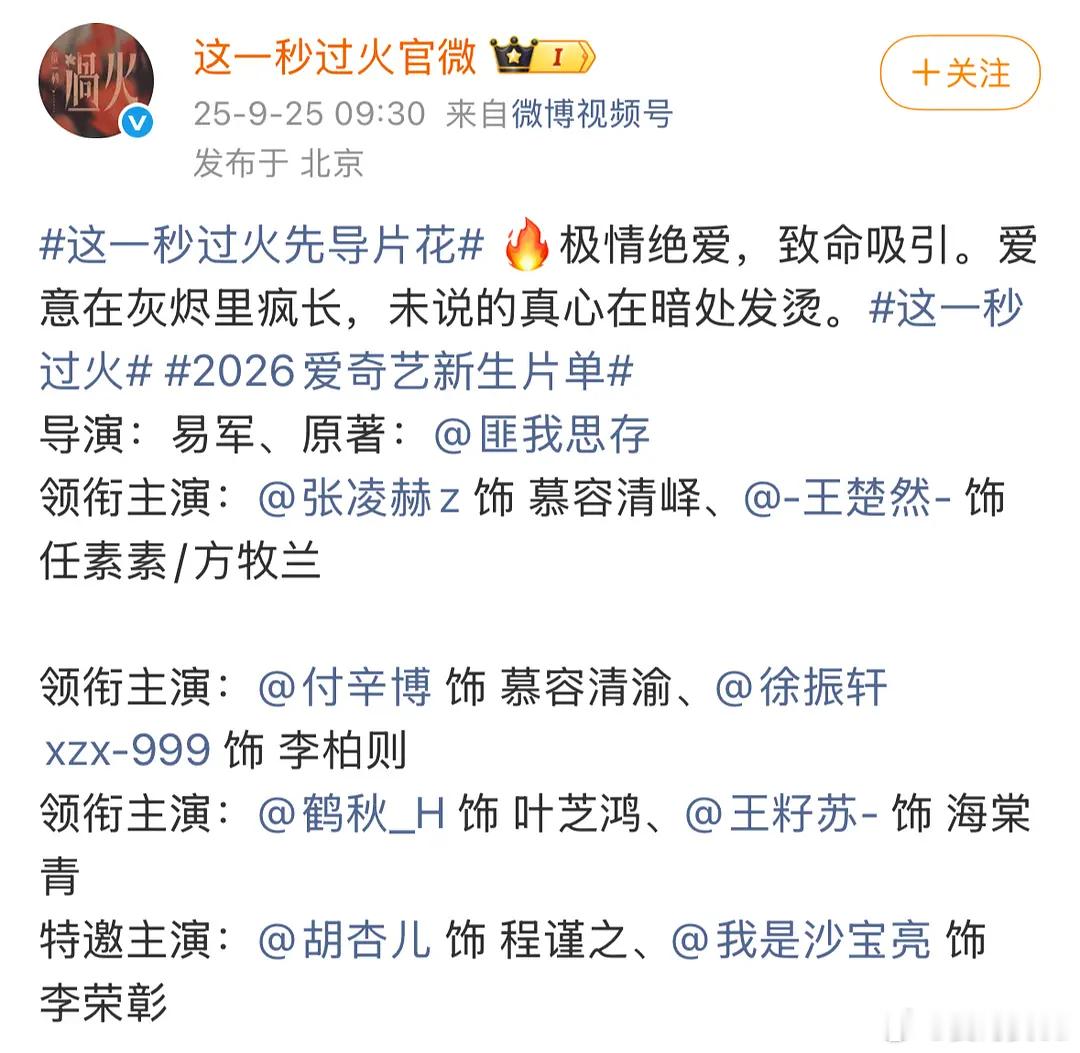 《这一秒过火》在新规下长这样领衔主演：王籽苏 王楚然 付辛博 张凌赫 徐振轩 鹤