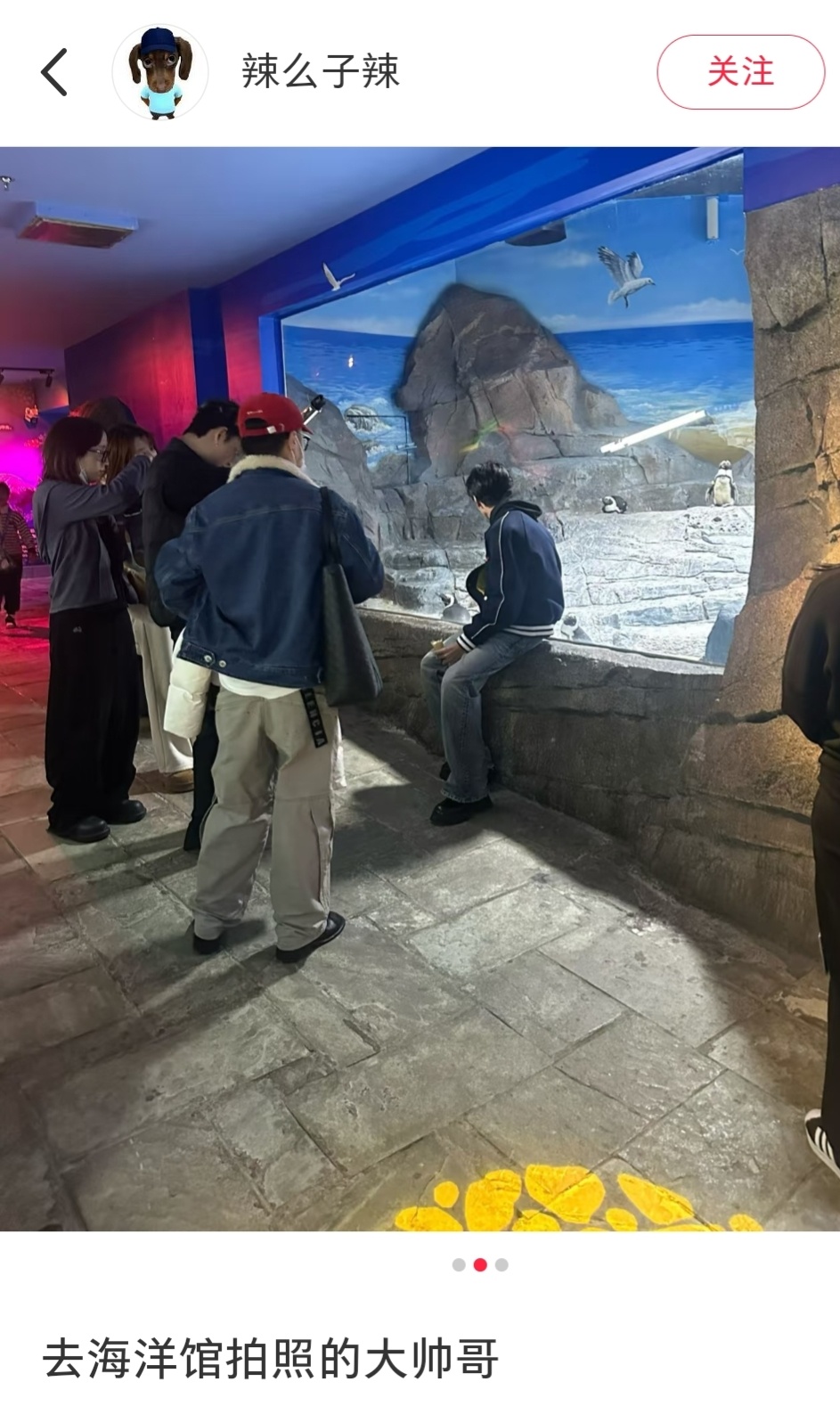 海洋馆偶遇陈哲远网友在上海海洋馆偶遇陈哲远🈶在拍摄物料ing期待帅哥的成片放送