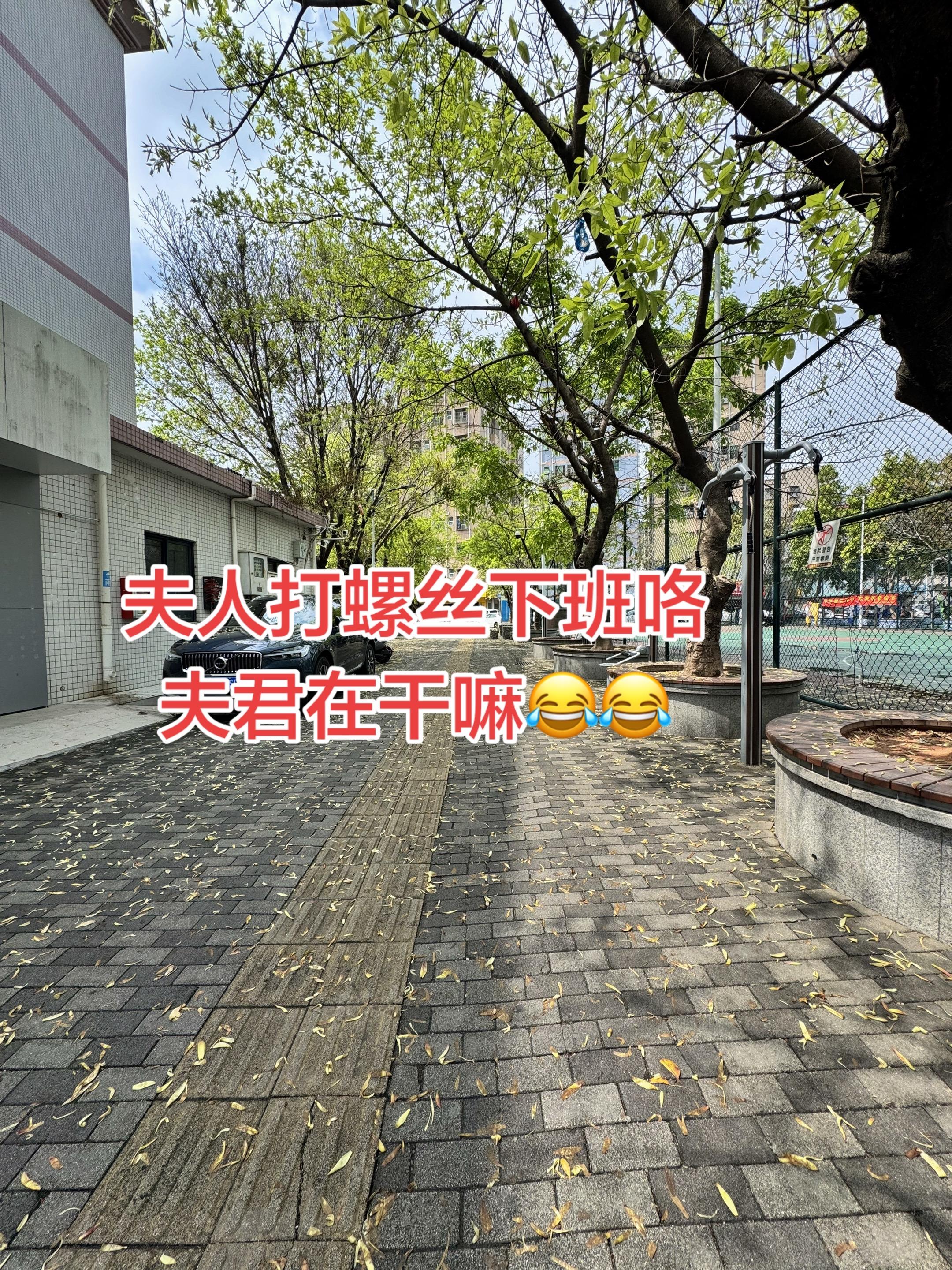 打工人的生活日常 创作者中心 创作灵感 风景都在路上