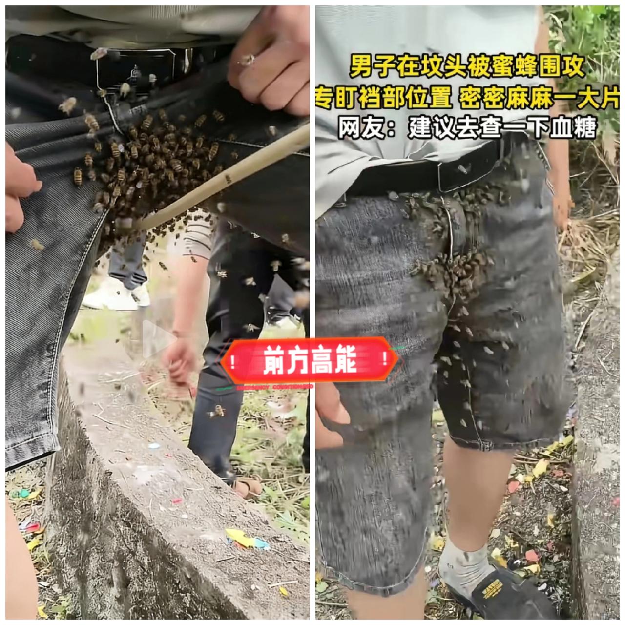 解释不清了！陕西男子清明上坟遭蜜蜂围攻，专盯裆部不放，原因太意外
 
“解释不清