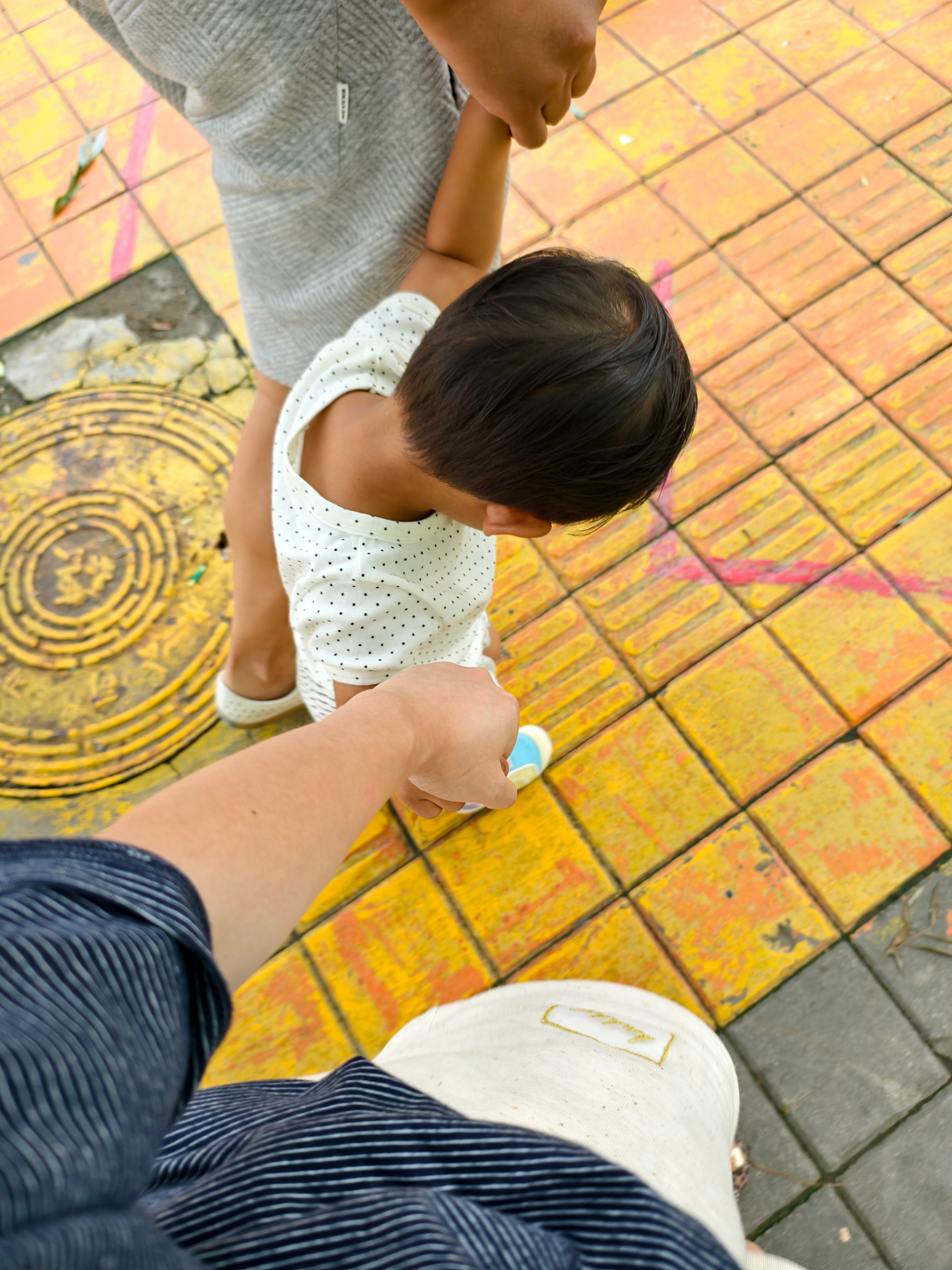 已就位！很开心，说要去幼儿园问问老师想不想吃蓝鳍金枪鱼，他吃了