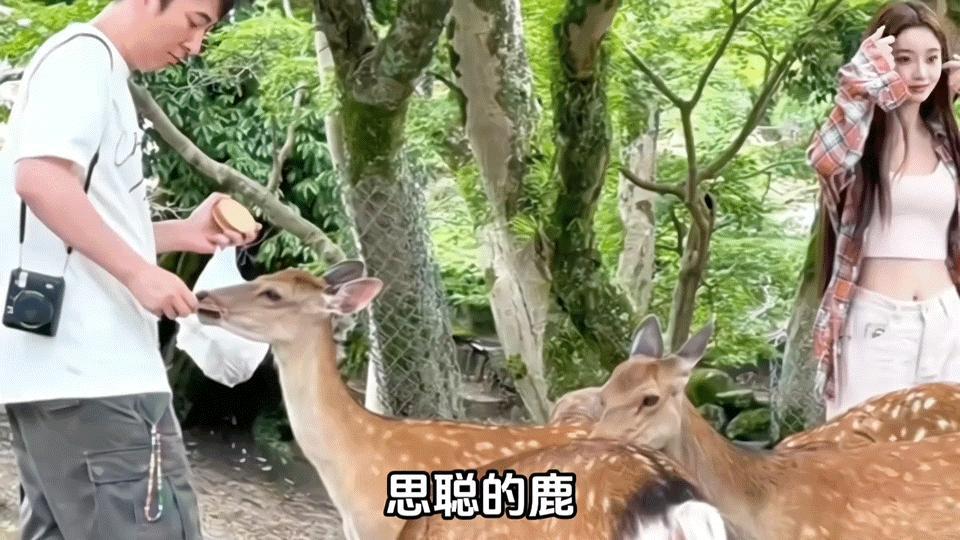 #王思聪懒懒疑似分手#我在wsc的家很想你！以后他家的床是网红打卡地！！！铁打的