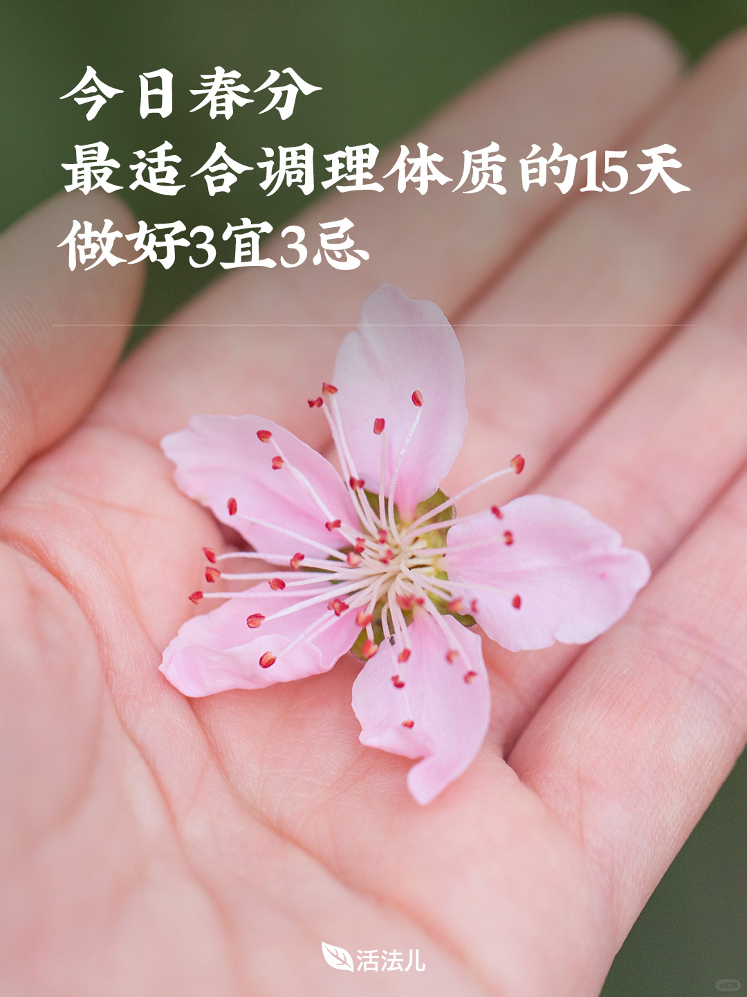 今日春分，最适合调理体质的15天