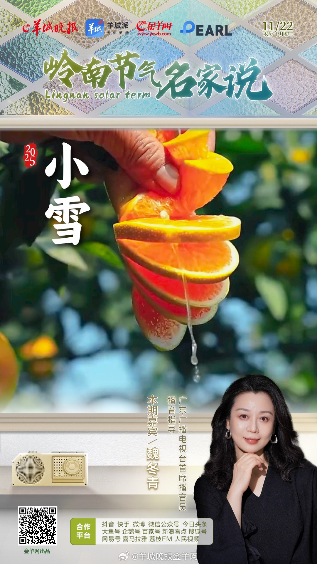  时节，岭南无雪，却有阳光满枝，橙香满怀。[跳跳]本期《岭南节气名家说》跟随广东