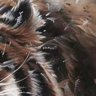 凛冬怒啸，虎啸山林。锋芒毕露，气场全开。 