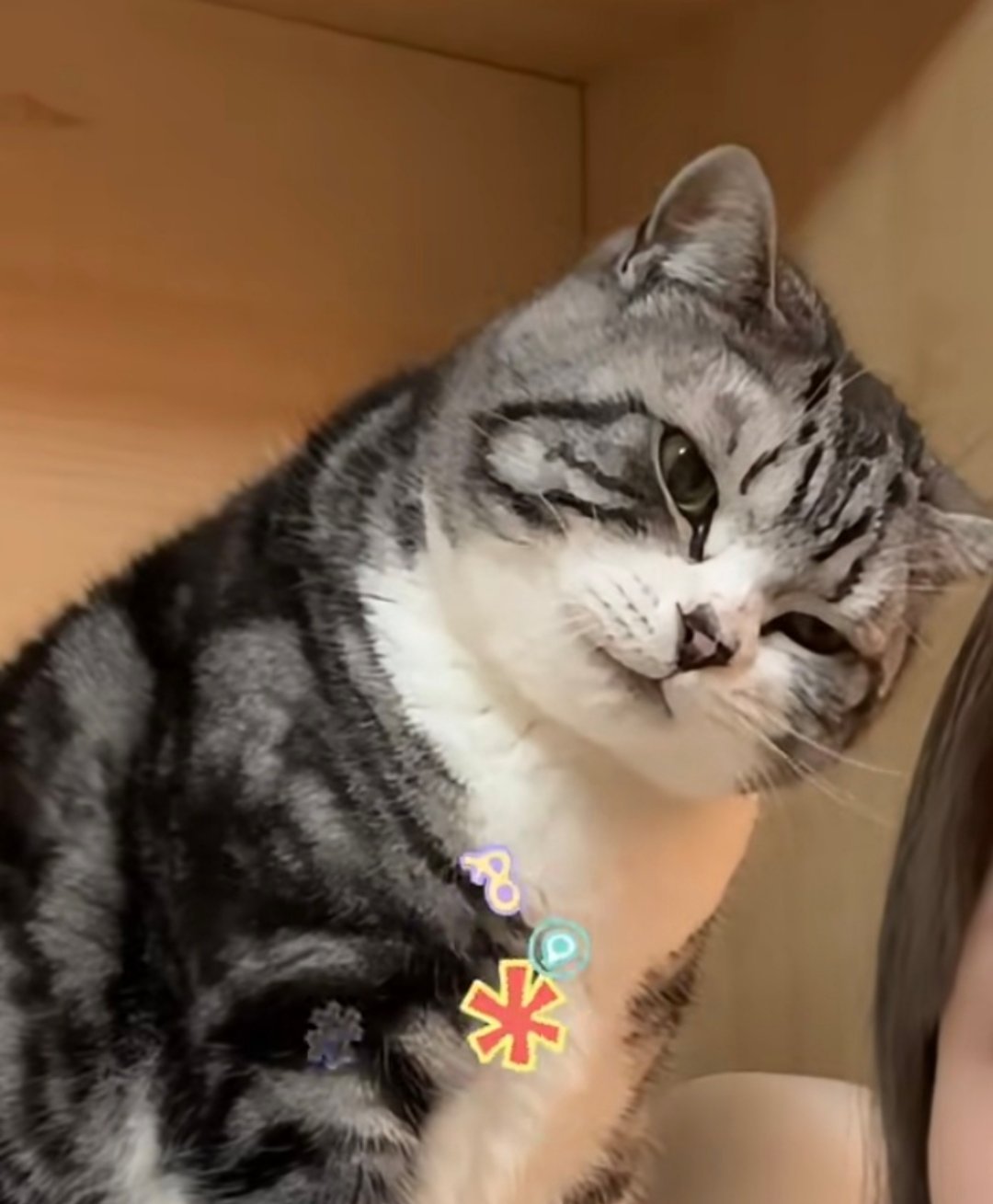 不是，你们路人的小嘴和抹了蜜一样哈哈哈哈哈哈哈 