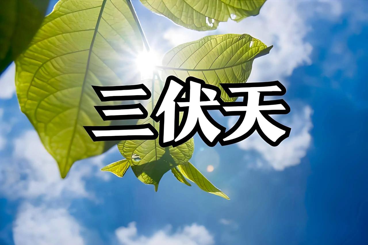 七律.三伏天

小暑时分伏始开，相逢庚日热潮来。
一从夏至三追庚，追到暑除方伏回