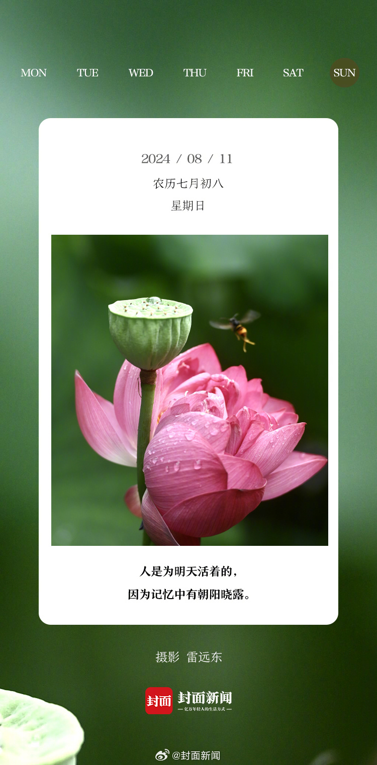 今天周末，你打算出门玩吗？#小封日历# ​​​