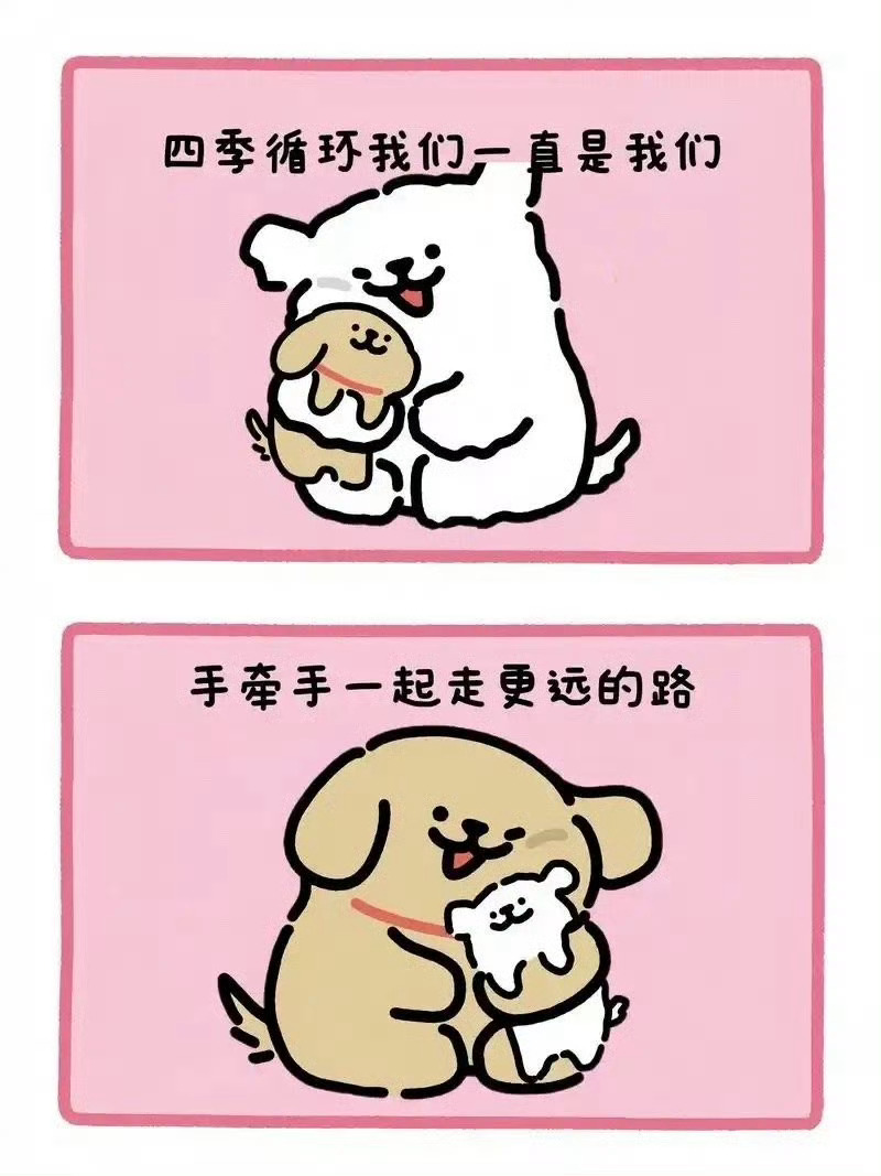 被在意，比被喜欢更值得 