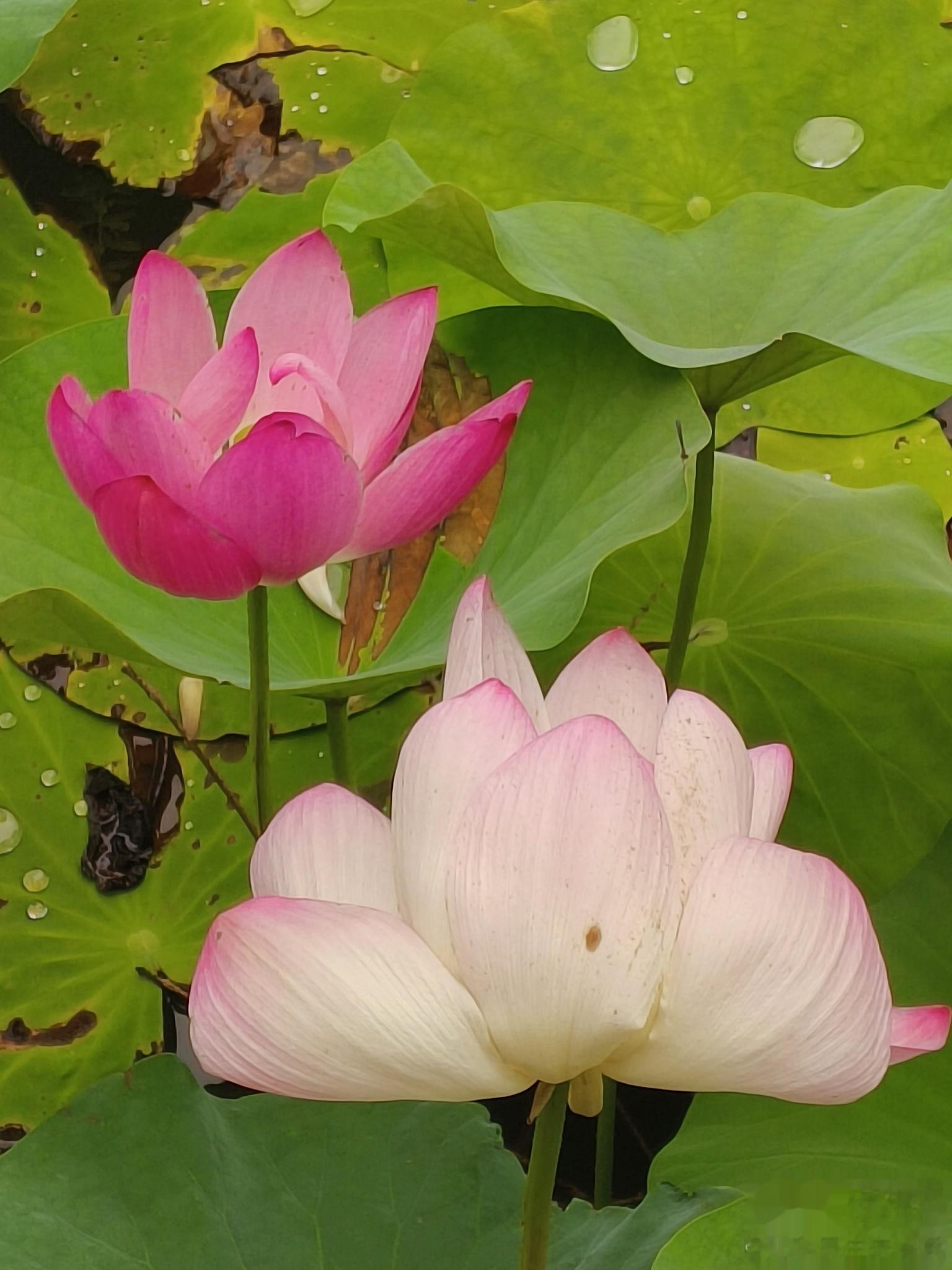 假已过期，开始上班。 #每日一图#  