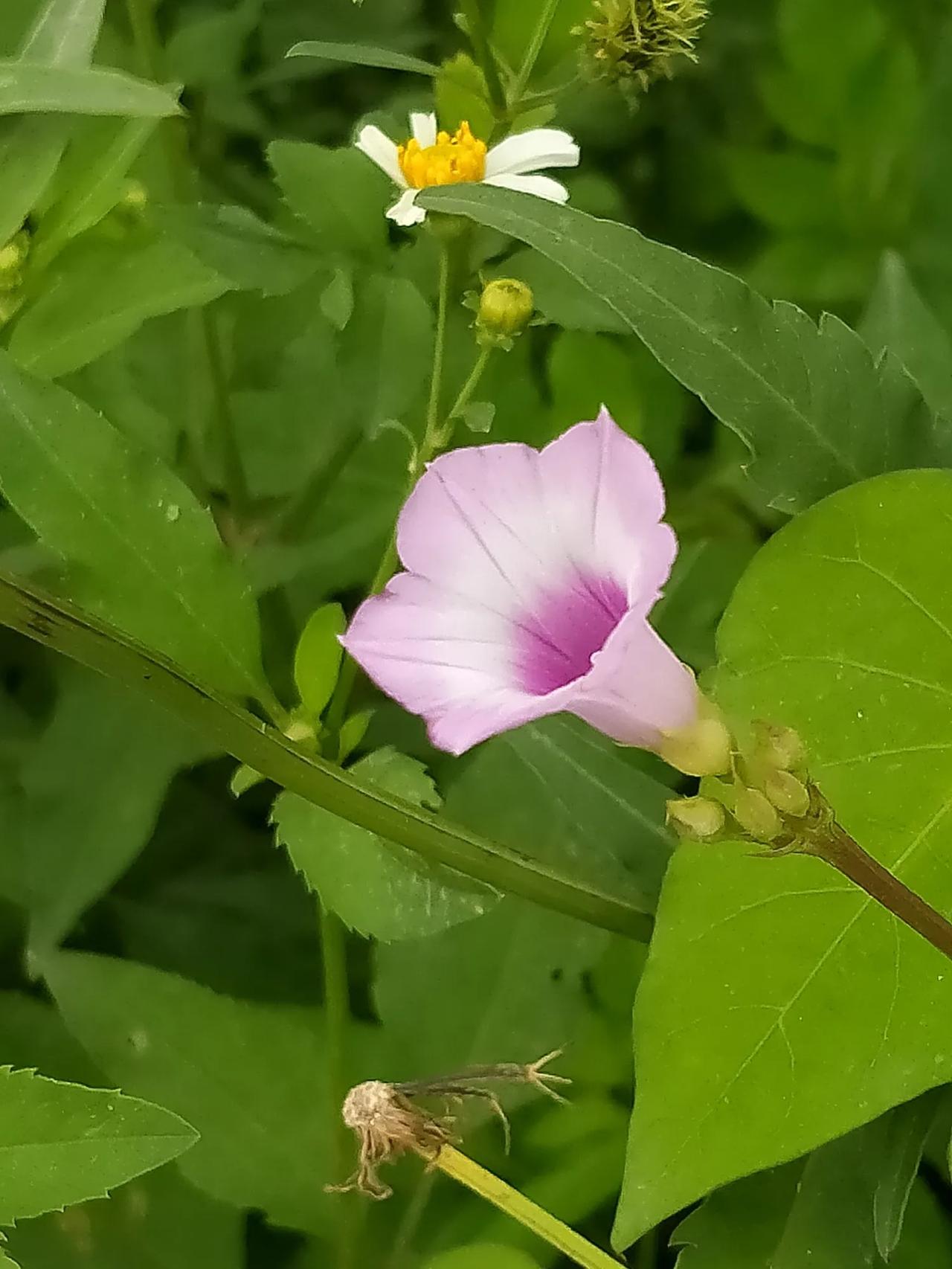 #每日一悟#我们追求的，并非是无休止的守候，而是要奋力再坚持片刻。只要我们能够持