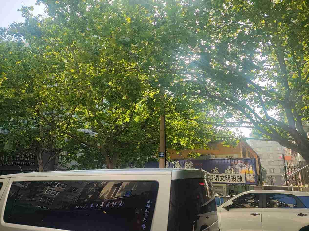 我的今日状态：🥲强颜欢笑
我这里的天气：🌤️多云
坐17路在振工街下车，我发