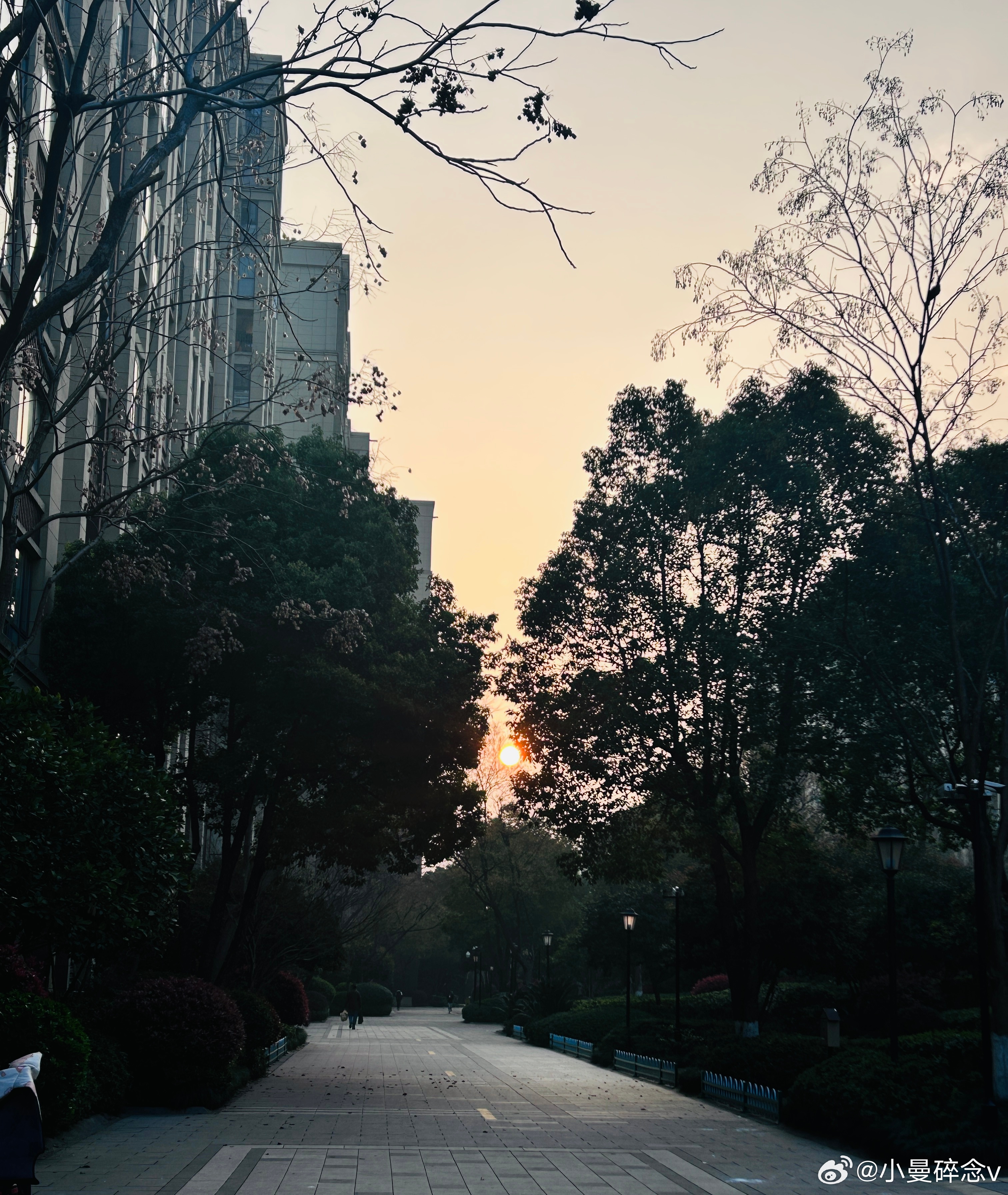 早安～5公里已经跑好了，浑身冒热气，拉伸完汗意渐消，整个人倍感精神跑步逐玉 一个