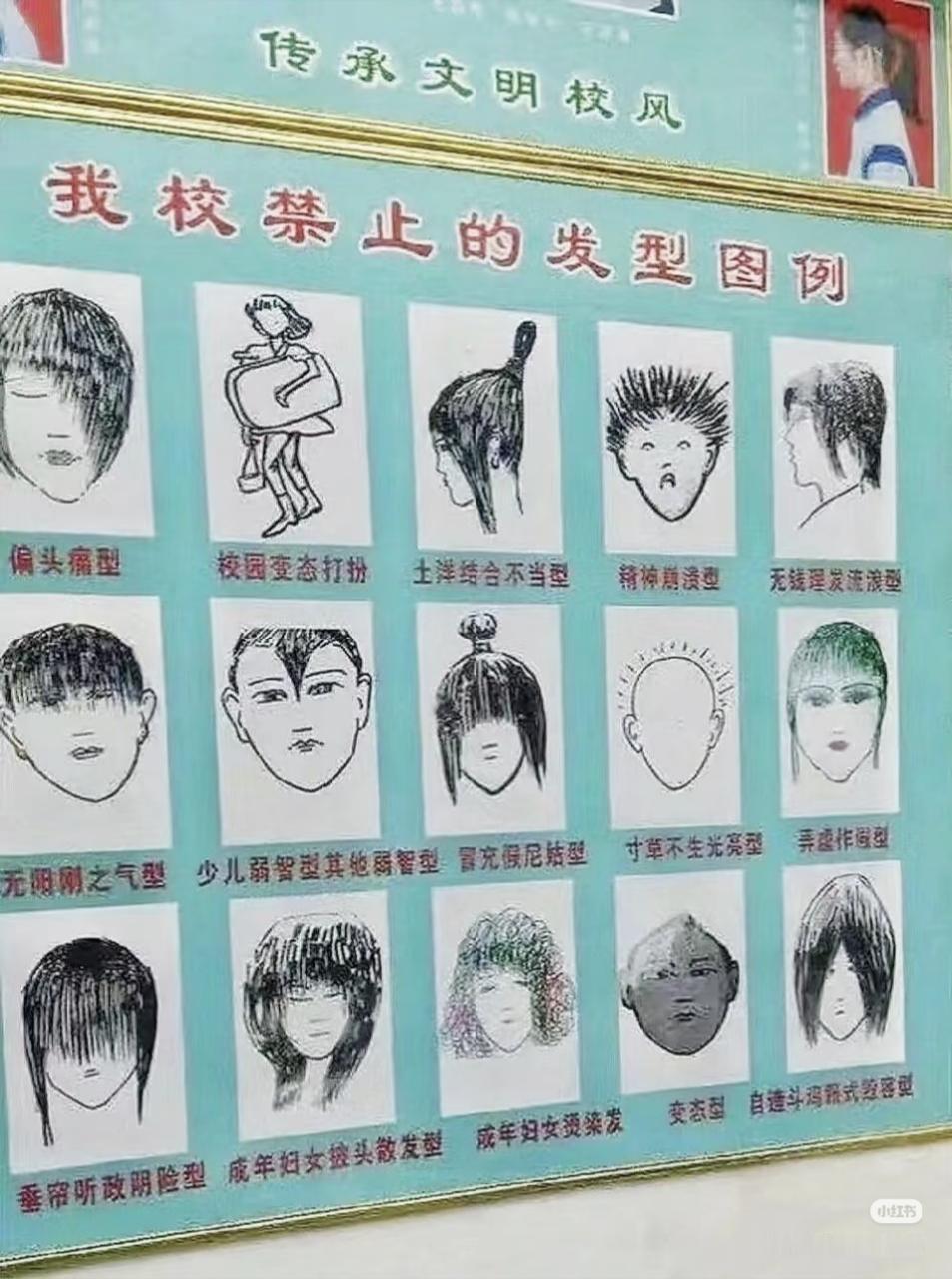 ppj有懂我意思吗 