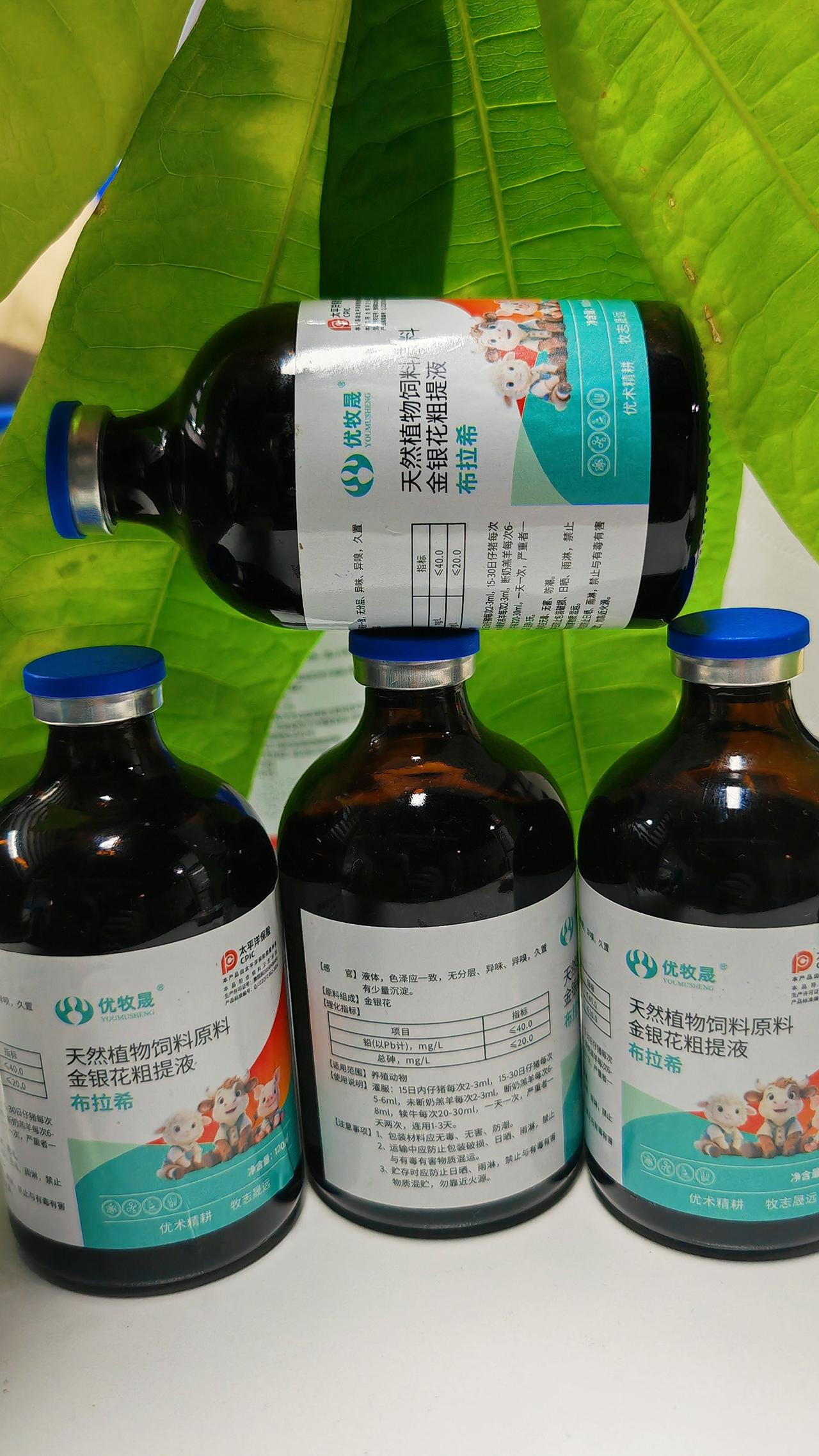 养羊人 农村养羊