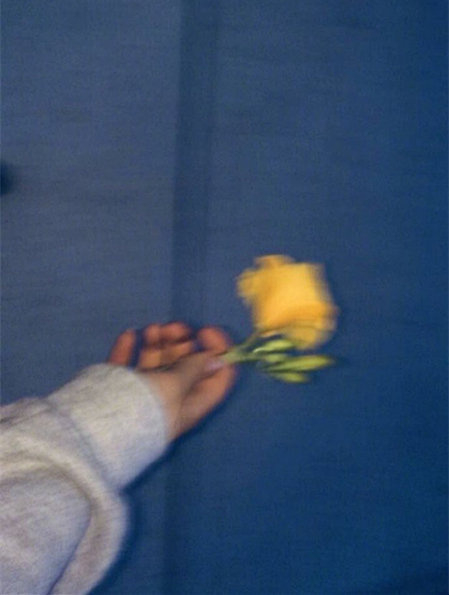 村上春树曾说：“最爱你的人，不是看见你的光芒向你赶来，而是看到你在泥土里艰难挣扎