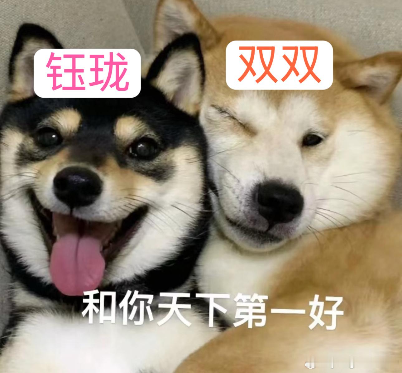 功夫女足张小斐迪丽热巴从小好到大张小斐迪丽热巴姐妹情又刀又甜张小斐迪丽热巴对手戏