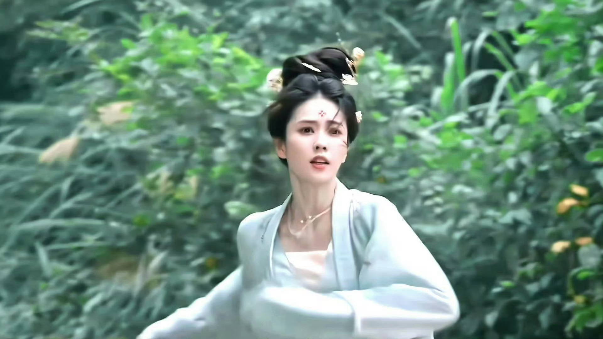 白鹿路人缘 叶璃，人前柔弱，人后谋化，巧妙夺回嫁妆，一鲨吕太守，真聪明，白鹿演技