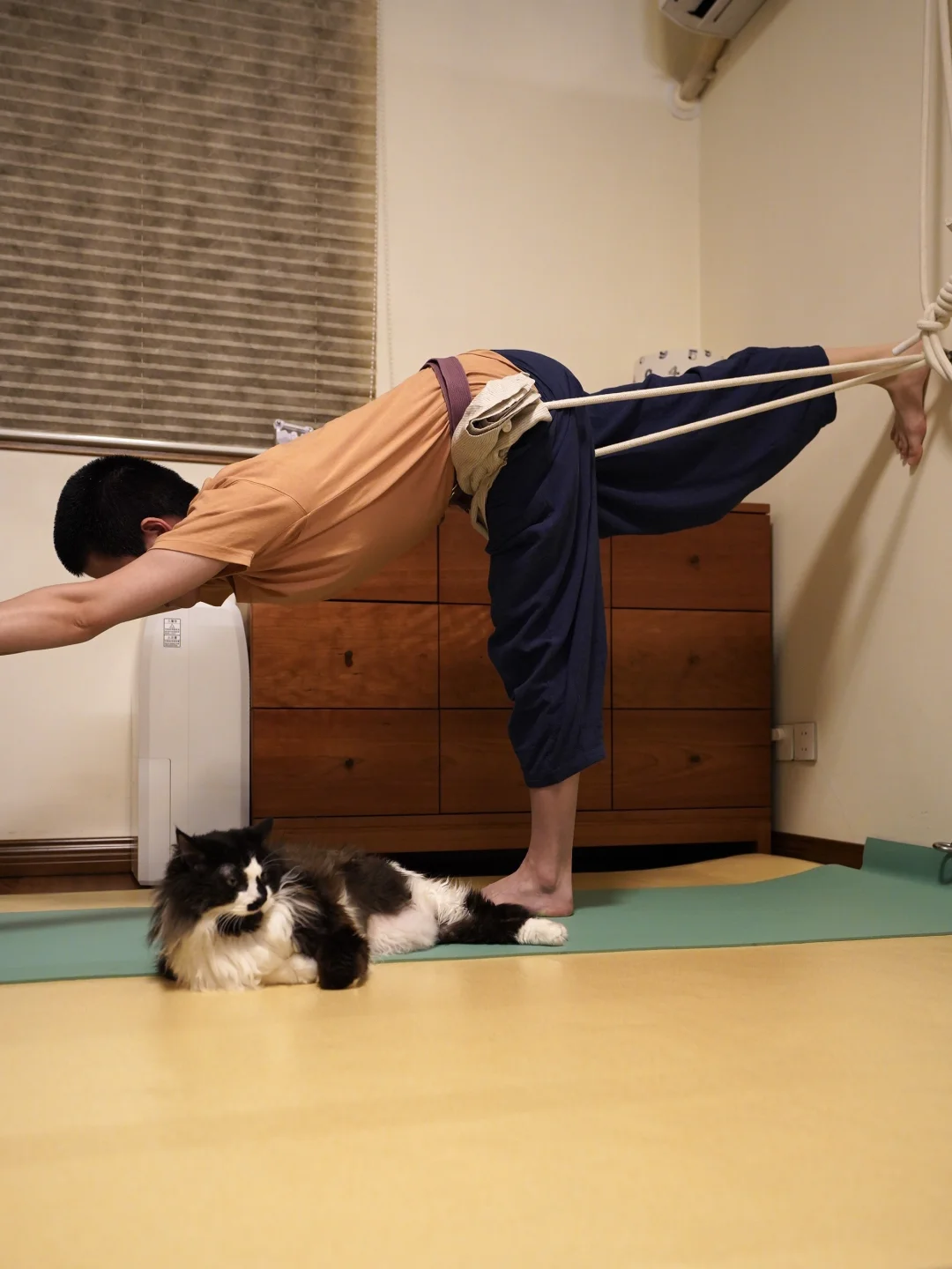 体式就是在恢复螺旋链原本的“势”