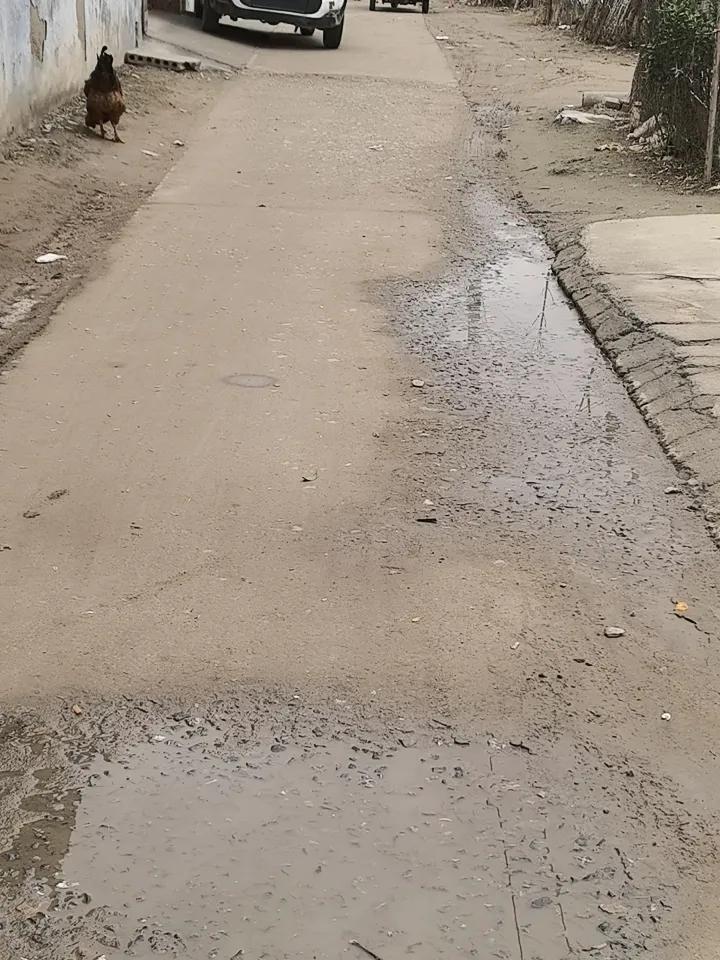 阴天下雨🌧️，不想出门，感冒也没好，哎😔