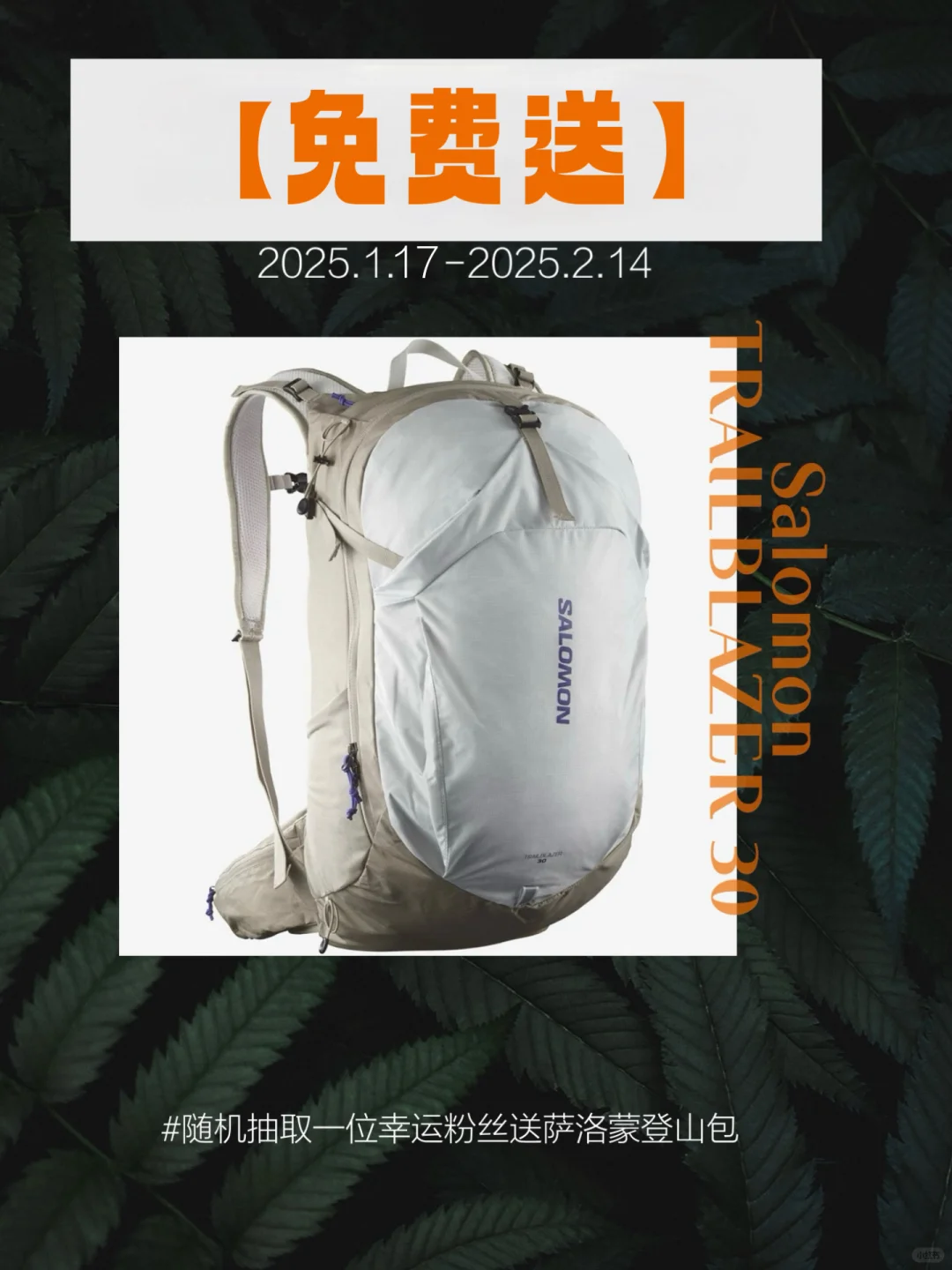 宠粉福利❗️❗️免费送萨洛蒙登山包！