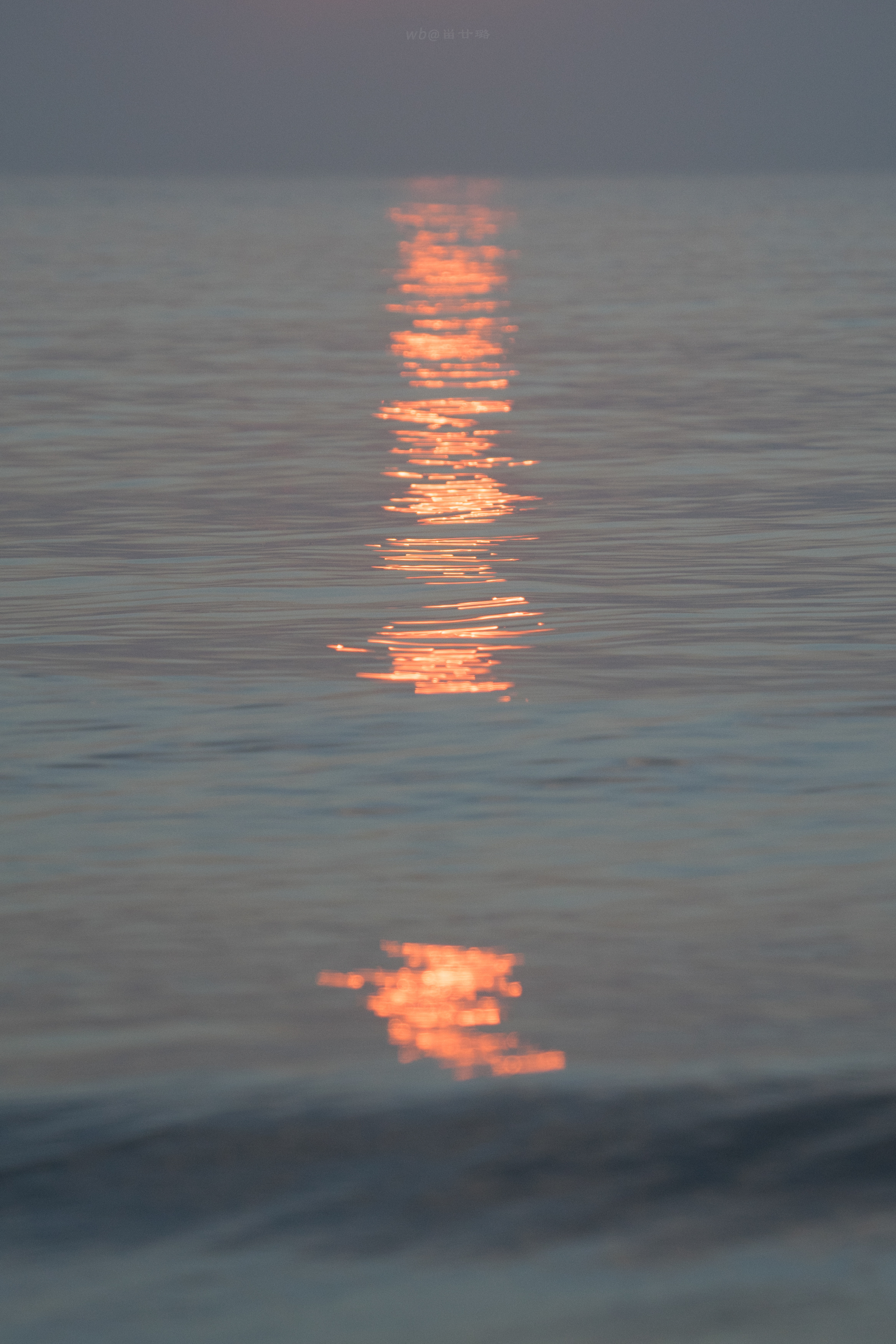 我的爱，就在那儿，在离你最近的地方，你要，就可以信手拈来。然而，不论你要不要，它