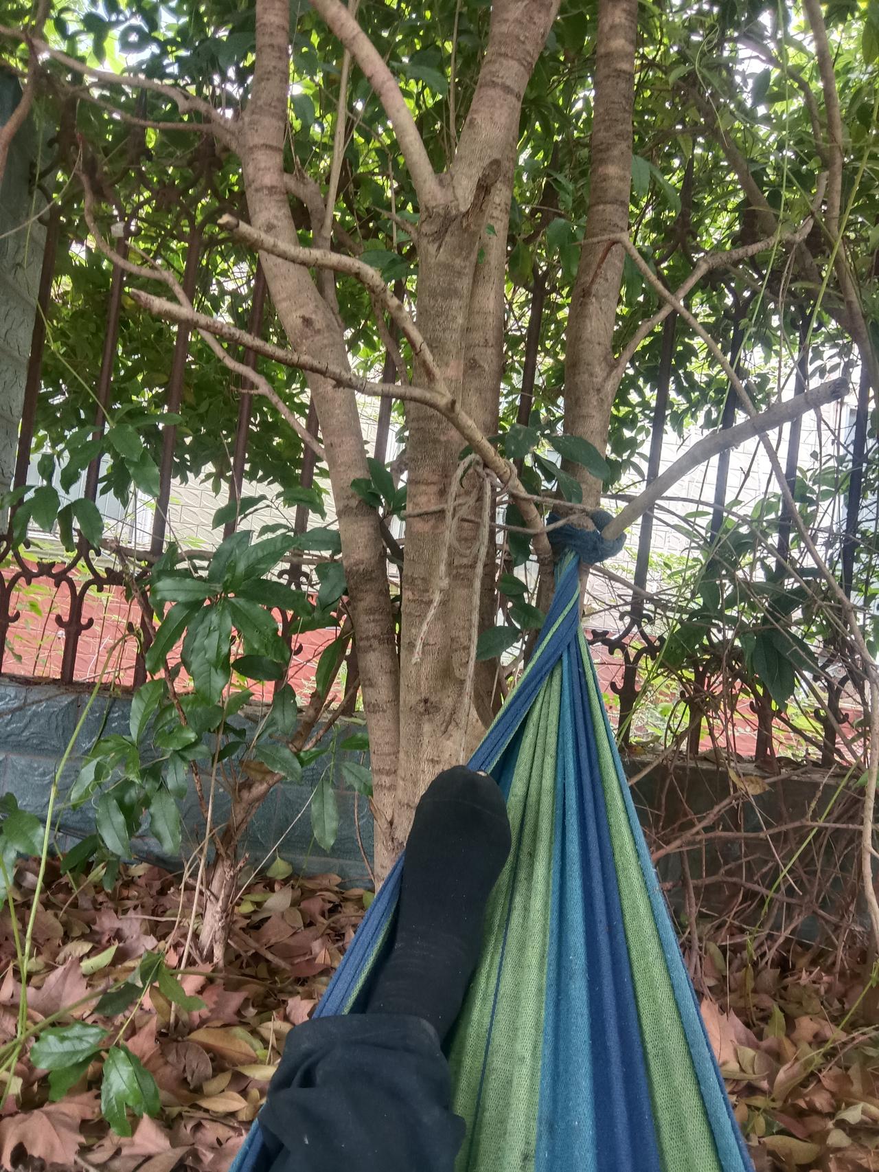 发一张图片，让我猜出你在哪里拍的树影里的慢时光✨
躺平日常 户外松弛感