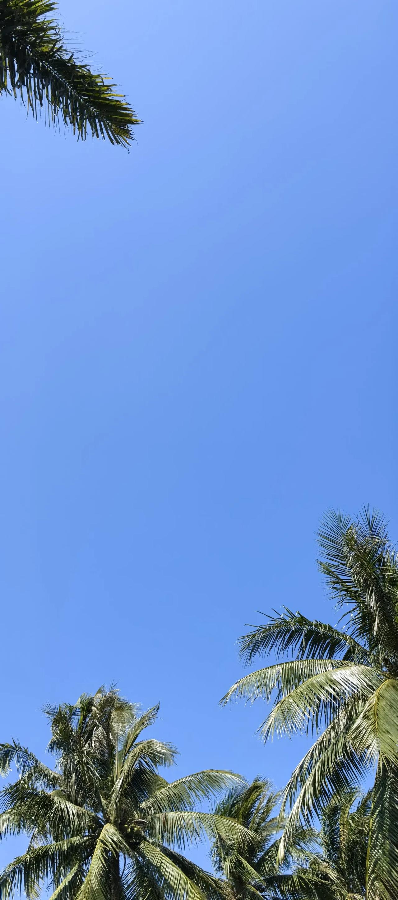 分享一张你相册里最好看的蓝天照片