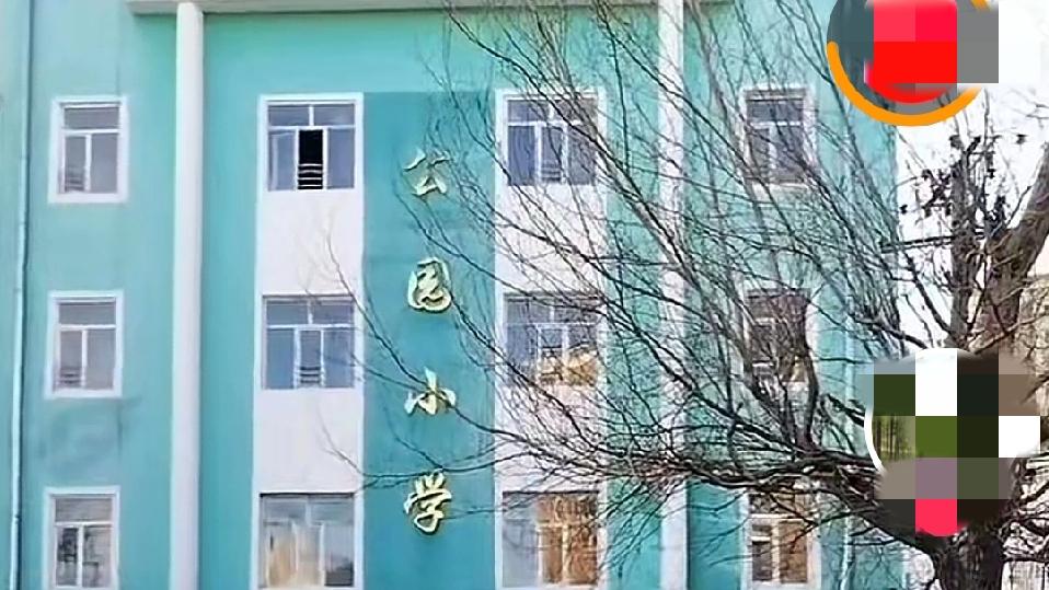 鹤岗·公园小学
       公园小学，只是鹤岗市几十所学校中的一所普通小学校。