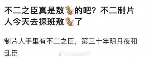 网传🥝的现偶大🫓《不二之臣》定的敖瑞鹏、古力娜扎，大家感觉两人🈶🈚️cp