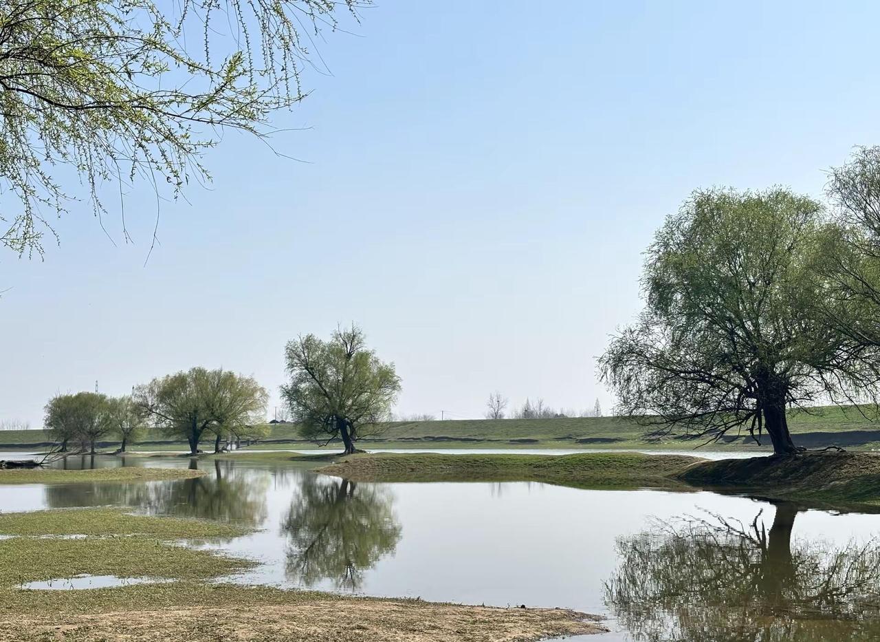 人要有All in的勇气，也要有Nice Fold的能力，但我更喜欢 Hero 