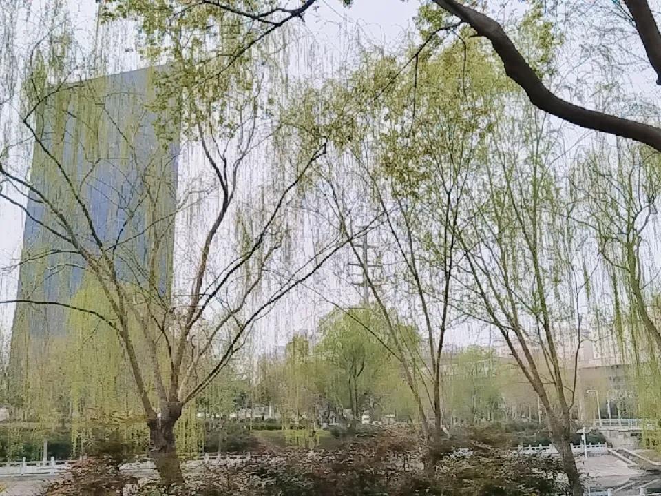 春日生活打卡季