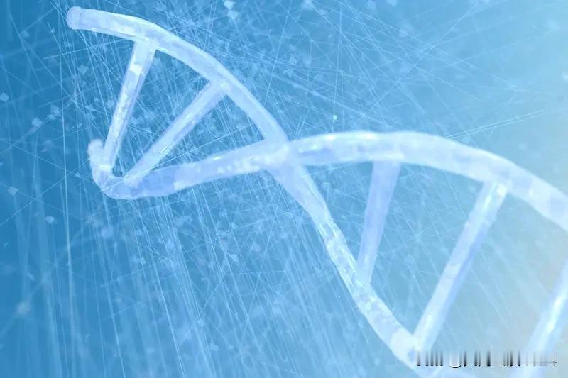 研究：人类寿命长短超50%由基因决定 长寿这事儿，基因影响有多大？最新研究说人类