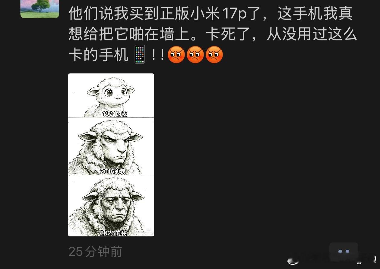 第一次在朋友圈刷到有亲戚吐槽手机感觉世上从此少了一个小米用户[允悲][允悲] ​