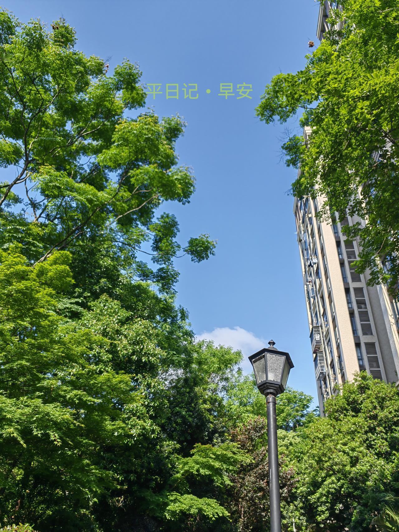 平日记•早安

五一劳动节。

奔赴山海的理想，扎根于脚踏实地的耕耘。

平凡劳