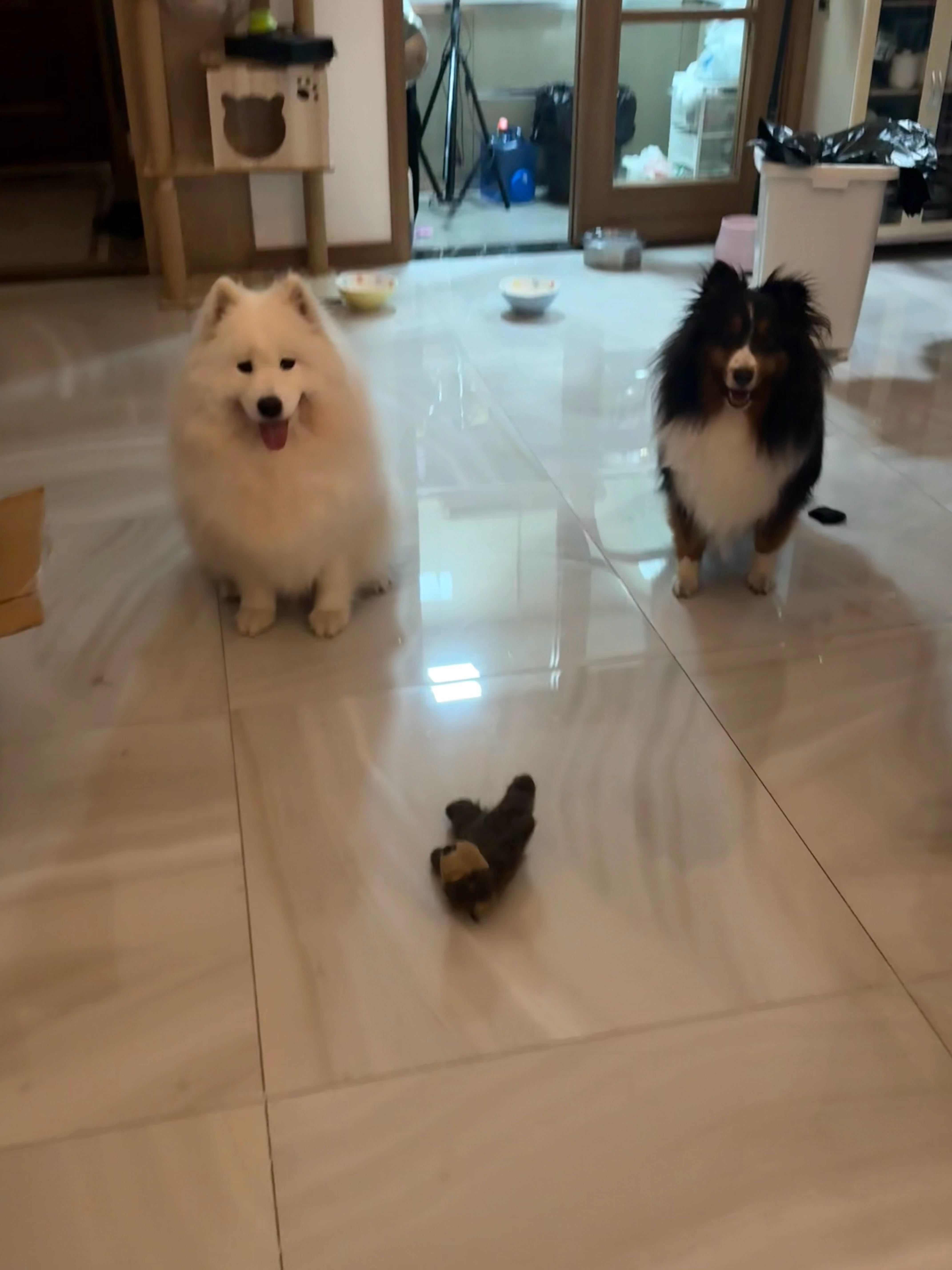 避雷这个角度…… 