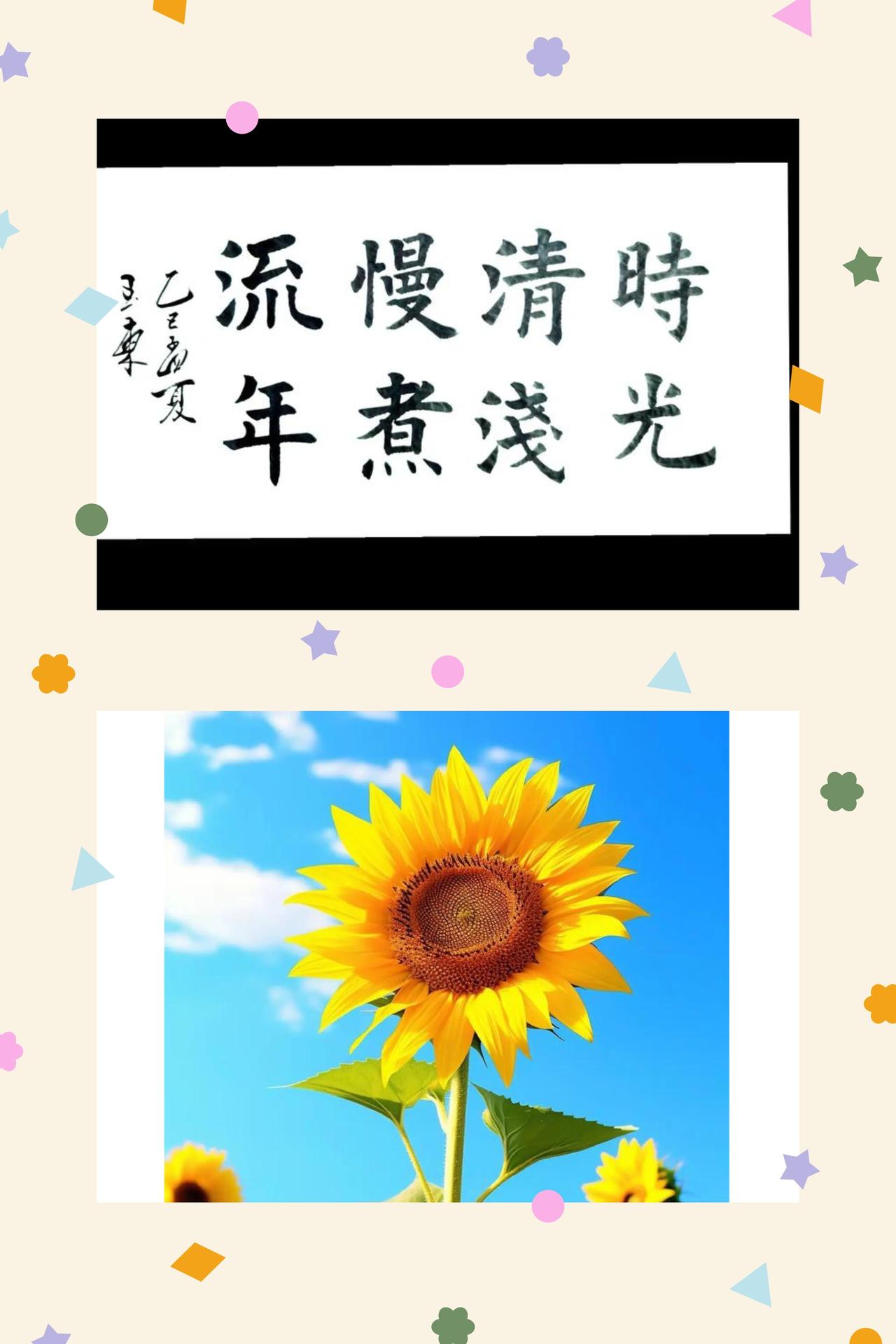 安然向暖，慢渡流年
岁月长河奔流不息，时光从不会为任何人停下脚步。我们留不住匆匆