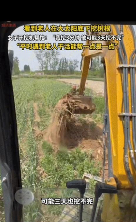 “太暖心了！”河南周口，一老人在自家麦田挖树根，弄得满头大汗。女子开挖掘机路过，