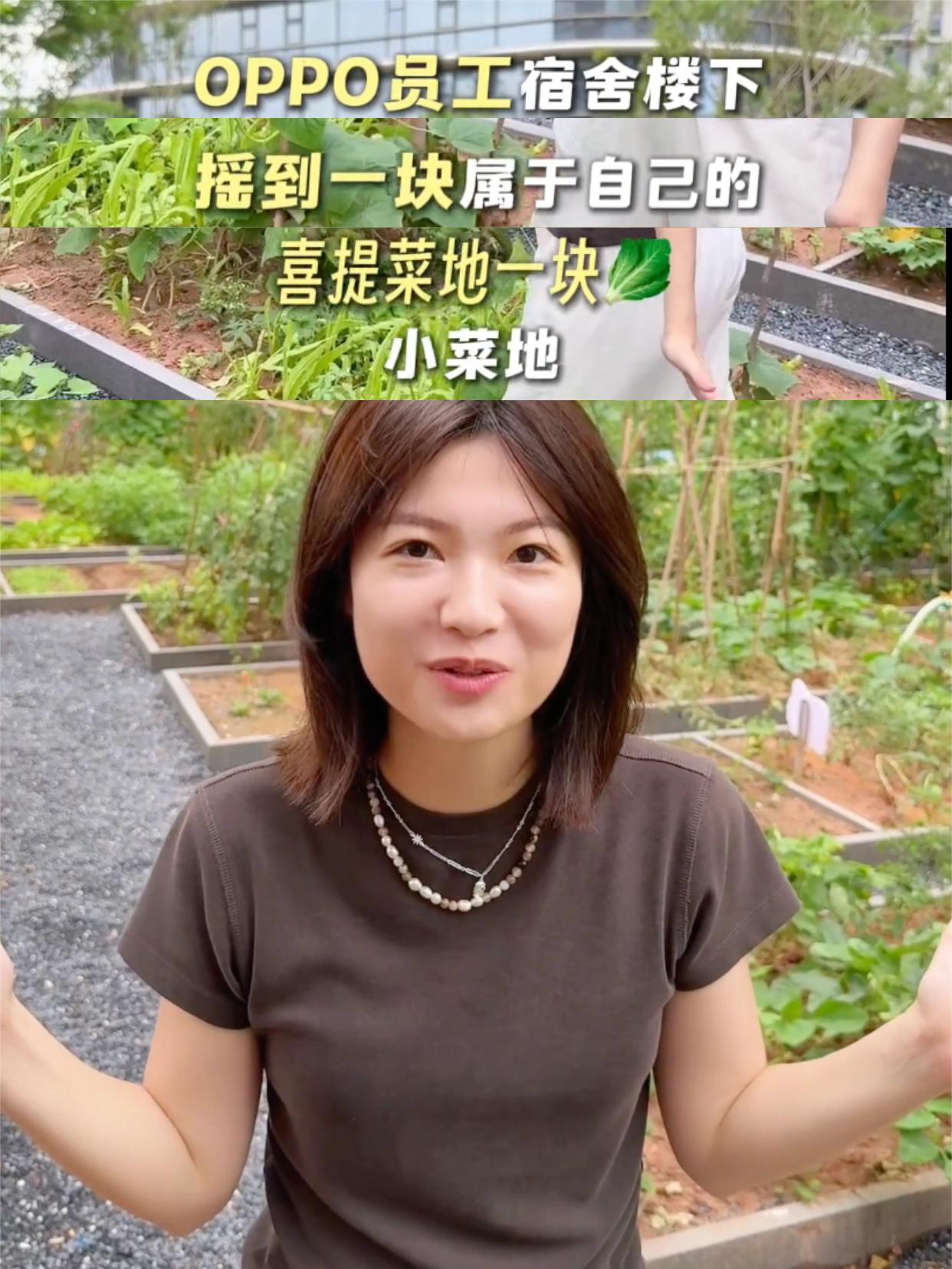 别人家公司系列，OPPO员工居然还能种菜！

又是日常羡慕别人家公司的一天😂都