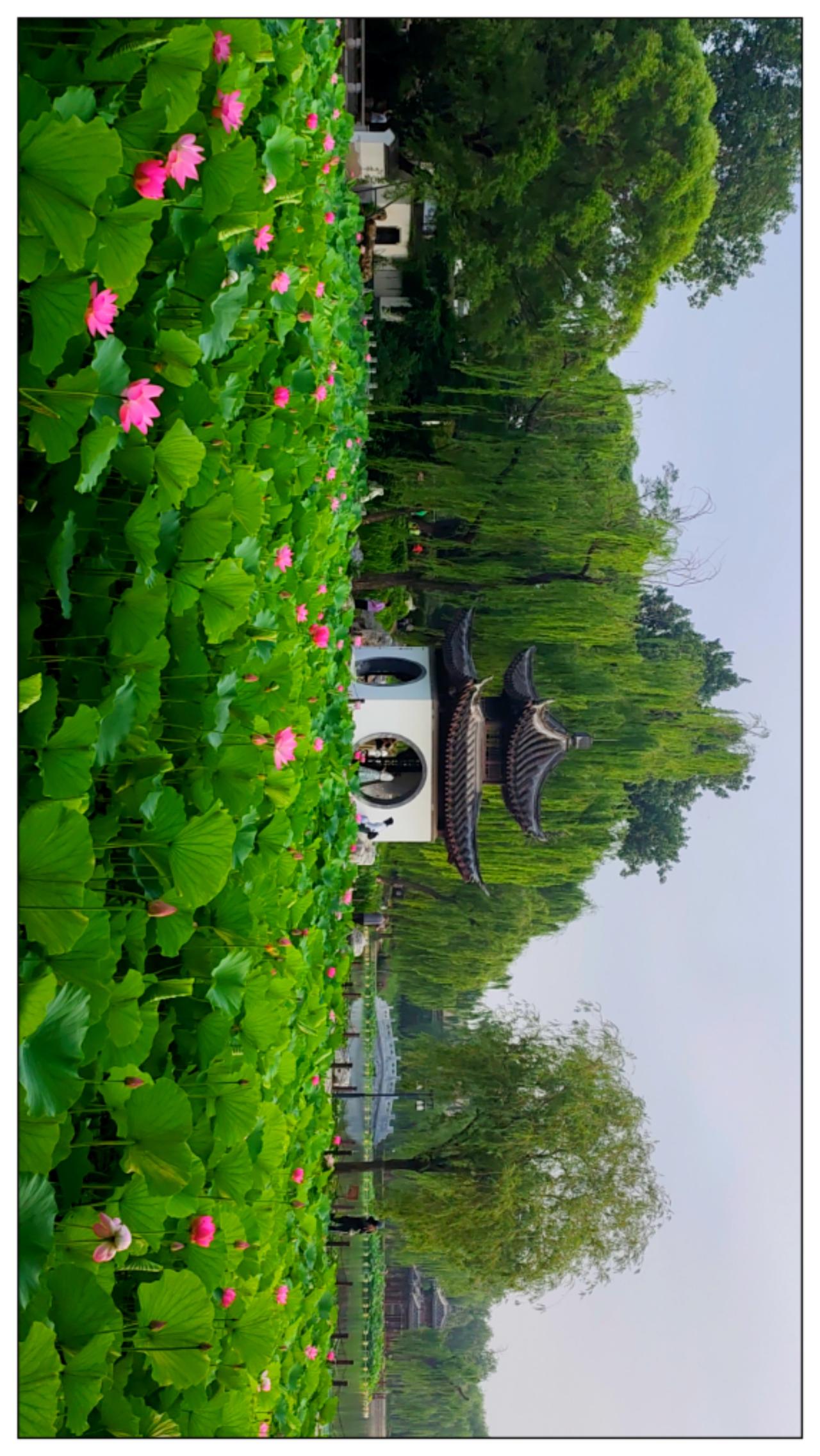 陶然小景